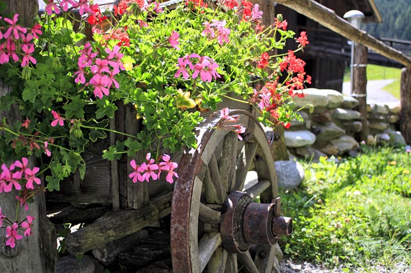 Pension Fürhapter - Urlaub - Bauernhof - Defereggental - Osttirol Pension Fürhapter - Urlaub - Bauernhof - Defereggental - Osttirol